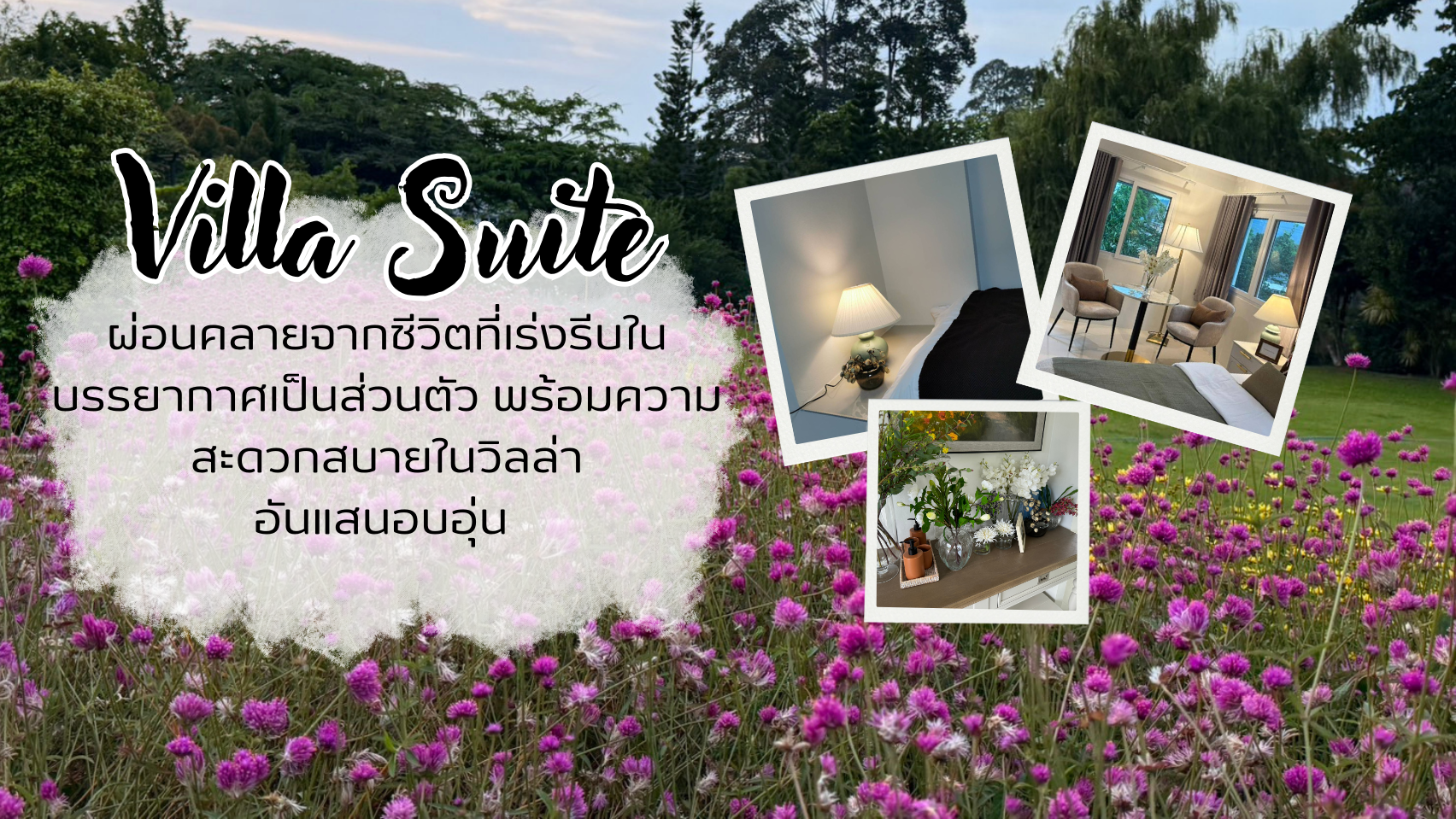 Villa suite